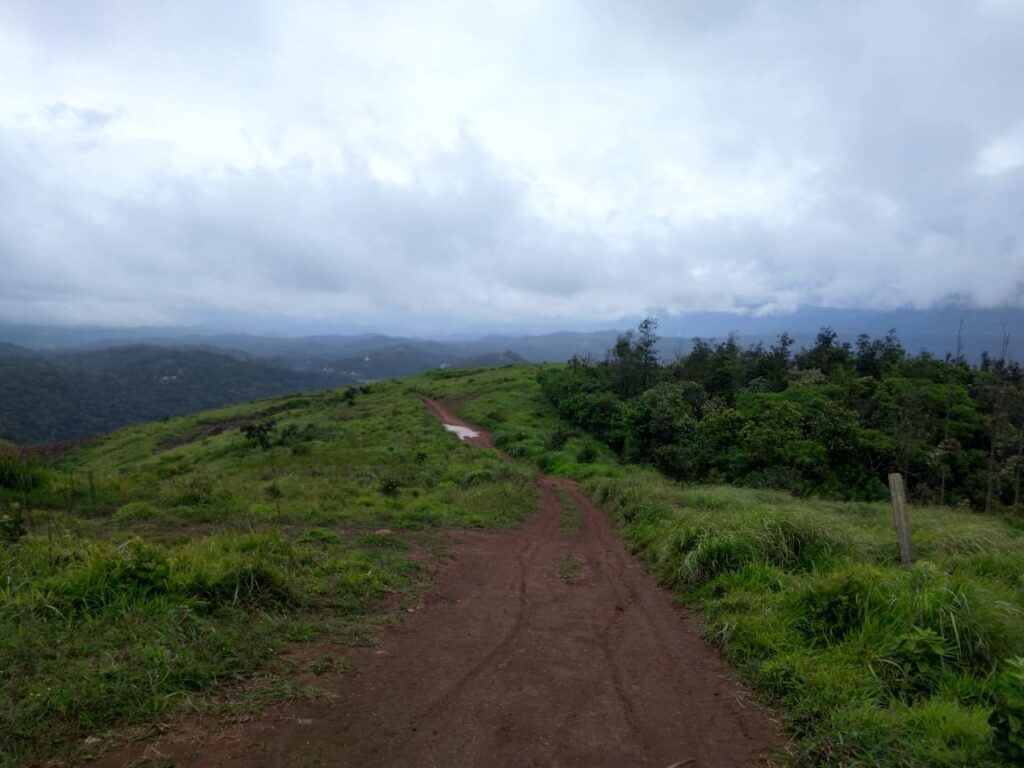 The grasslands of Swargam medu